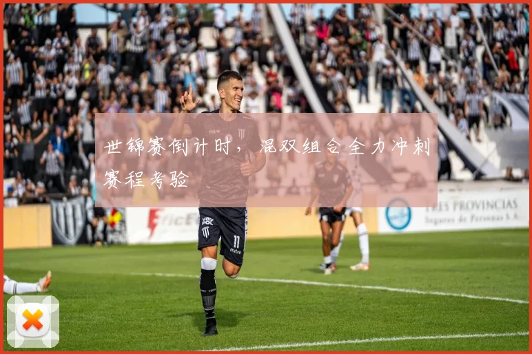 世锦赛倒计时，混双组合全力冲刺赛程考验